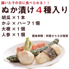 画像15: 【送料無料】菜香や■ミルキークィーン品種の甘みの有機米ぬか■茨城県産■有機栽培米使用■ミルキークイーンぬか床キット　内容：「ミルキークイーン米ぬか床２ｋｇ」「ぬか漬け４種」（簡単に出来るお手入れのレシピ・タッパー容器付き）【楽天市場・４７ＣＬＵＢ企画共通】 (15)