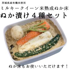 画像1: 【送料無料】菜香や■ミルキークィーン品種の甘みの有機米ぬか■茨城県産■有機栽培米使用■ミルキークイーンぬか床キット　内容：「ミルキークイーン米ぬか床２ｋｇ」「ぬか漬け４種」（簡単に出来るお手入れのレシピ・タッパー容器付き）【楽天市場・４７ＣＬＵＢ企画共通】 (1)