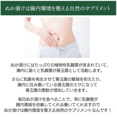 画像18: 【送料無料】【ギフトにも最適】菜香や■ミルキークィーン品種の甘みの有機米ぬか■茨城県産■有機栽培米使用■ミルキークイーンぬか床キット　内容：「ミルキークイーン米ぬか床２ｋｇ」「ぬか漬け５種」「調合足しぬか500g」（簡単に出来るお手入れのレシピ・タッパー容器付き） (18)